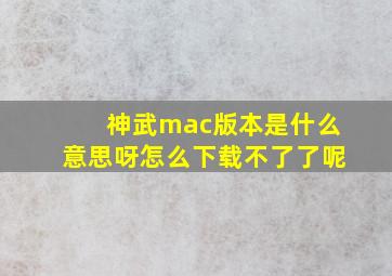 神武mac版本是什么意思呀怎么下载不了了呢