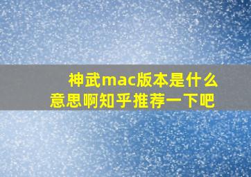 神武mac版本是什么意思啊知乎推荐一下吧