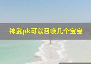 神武pk可以召唤几个宝宝