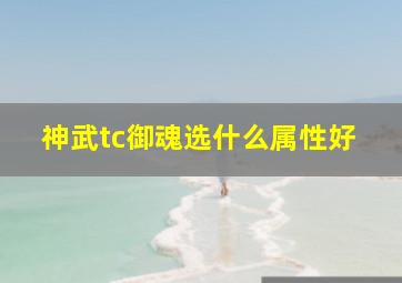 神武tc御魂选什么属性好