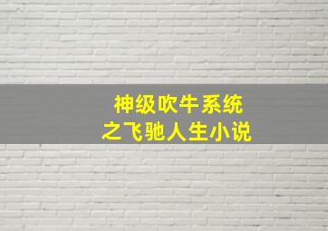 神级吹牛系统之飞驰人生小说