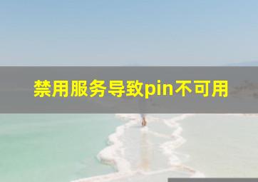 禁用服务导致pin不可用