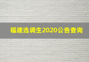 福建选调生2020公告查询