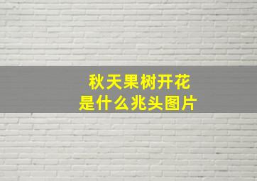 秋天果树开花是什么兆头图片