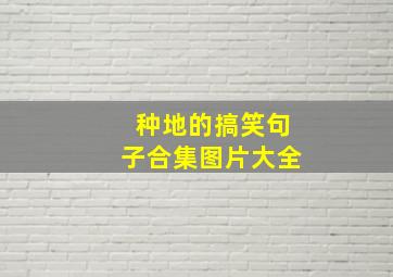 种地的搞笑句子合集图片大全