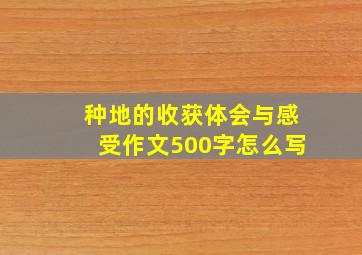 种地的收获体会与感受作文500字怎么写