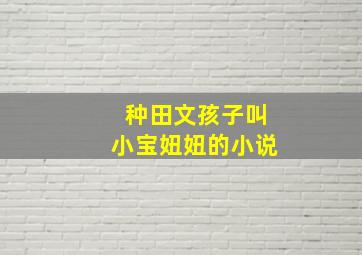 种田文孩子叫小宝妞妞的小说