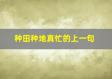 种田种地真忙的上一句