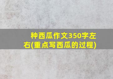 种西瓜作文350字左右(重点写西瓜的过程)