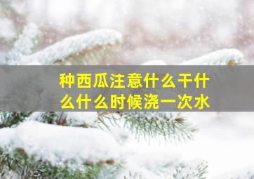 种西瓜注意什么干什么什么时候浇一次水