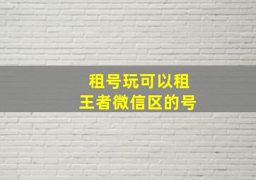 租号玩可以租王者微信区的号