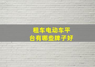 租车电动车平台有哪些牌子好