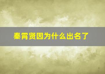 秦霄贤因为什么出名了