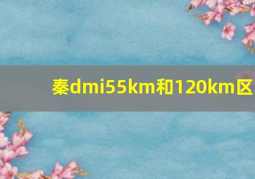 秦dmi55km和120km区别