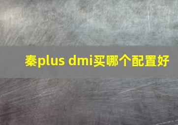 秦plus dmi买哪个配置好