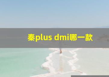 秦plus dmi哪一款