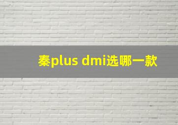 秦plus dmi选哪一款