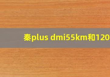 秦plus dmi55km和120km