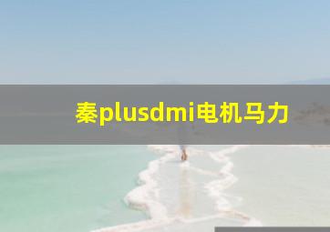 秦plusdmi电机马力