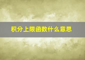 积分上限函数什么意思