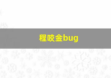 程咬金bug