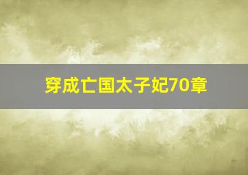 穿成亡国太子妃70章