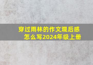 穿过雨林的作文观后感怎么写2024年级上册