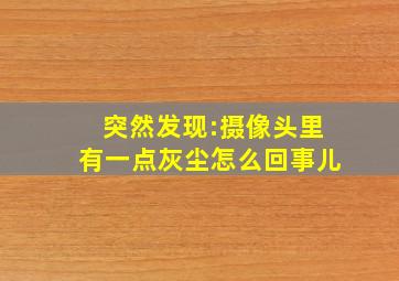 突然发现:摄像头里有一点灰尘怎么回事儿