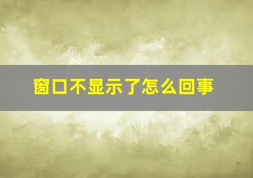 窗口不显示了怎么回事