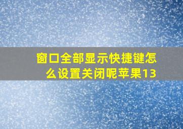 窗口全部显示快捷键怎么设置关闭呢苹果13