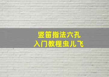 竖笛指法六孔入门教程虫儿飞