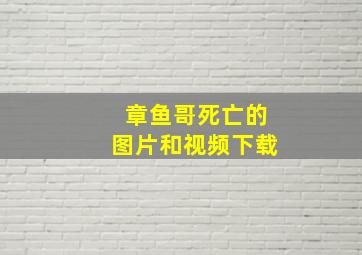 章鱼哥死亡的图片和视频下载