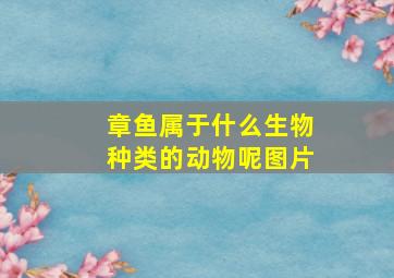 章鱼属于什么生物种类的动物呢图片