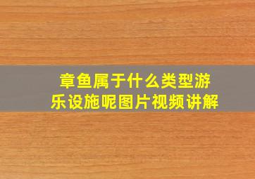 章鱼属于什么类型游乐设施呢图片视频讲解