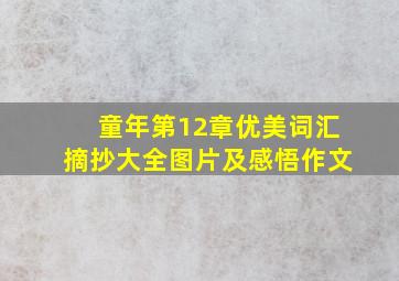 童年第12章优美词汇摘抄大全图片及感悟作文