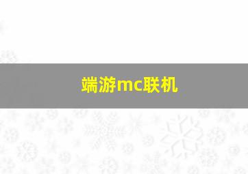 端游mc联机