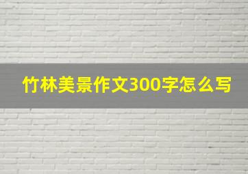 竹林美景作文300字怎么写