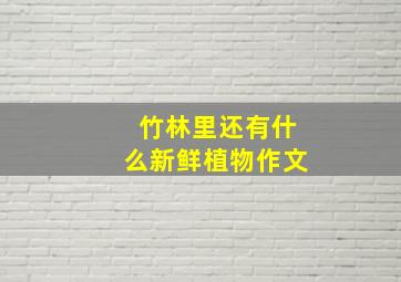 竹林里还有什么新鲜植物作文