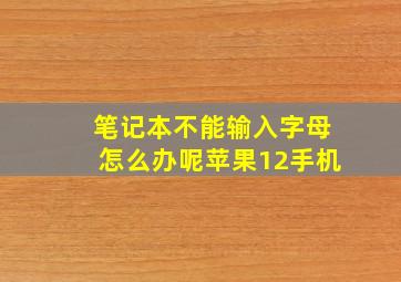 笔记本不能输入字母怎么办呢苹果12手机