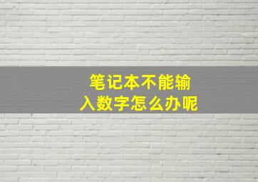 笔记本不能输入数字怎么办呢