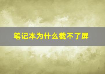 笔记本为什么截不了屏