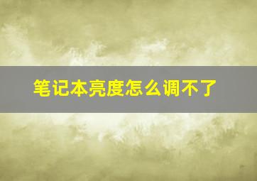 笔记本亮度怎么调不了