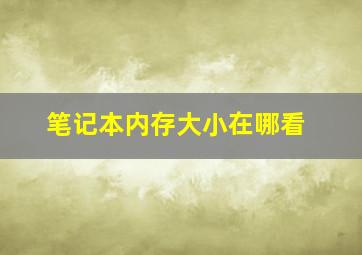 笔记本内存大小在哪看