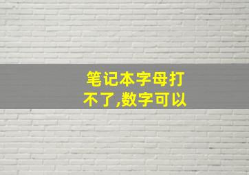 笔记本字母打不了,数字可以