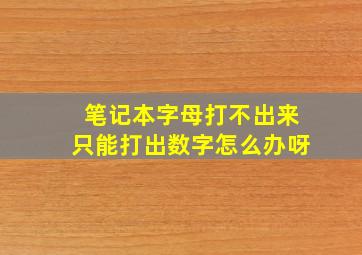 笔记本字母打不出来只能打出数字怎么办呀