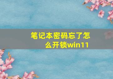 笔记本密码忘了怎么开锁win11