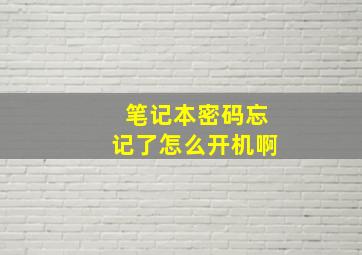 笔记本密码忘记了怎么开机啊