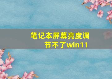 笔记本屏幕亮度调节不了win11