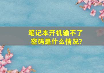 笔记本开机输不了密码是什么情况?