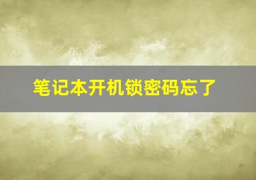 笔记本开机锁密码忘了